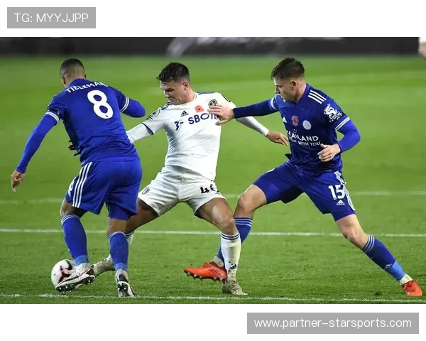 利兹联新赛季引援布局与主帅战术调整最新动态解析冲击英超前景展望